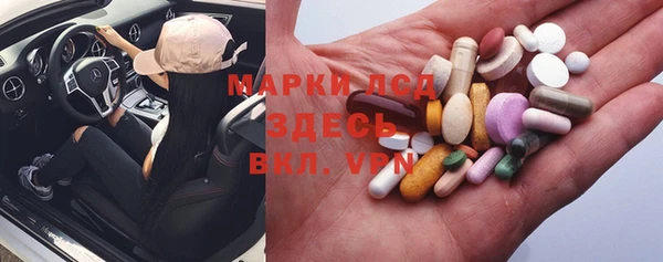 стаф Вяземский