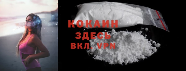 стаф Вяземский