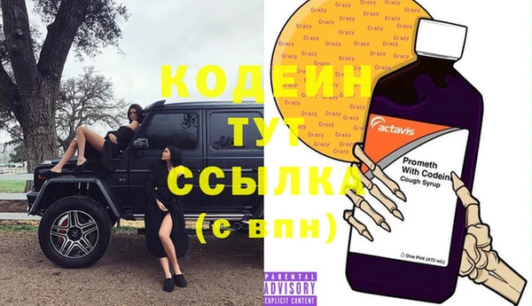 стаф Вяземский
