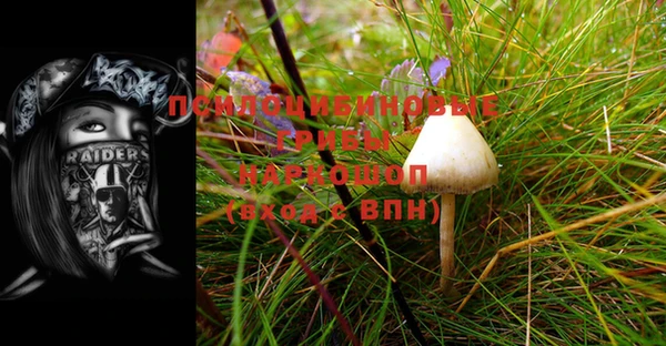 стаф Вяземский