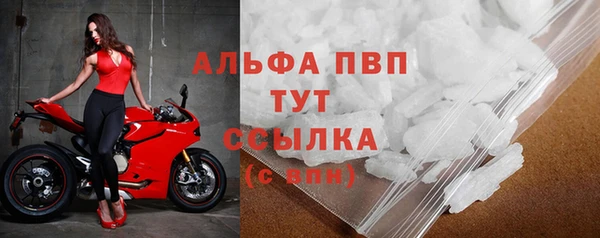 стаф Вяземский