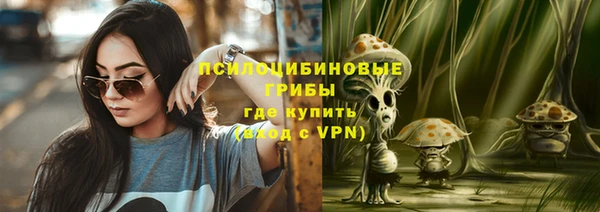 Альфа ПВП Вязники